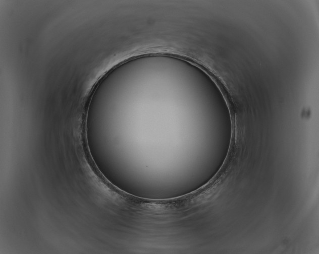 X0000091521500200708241639