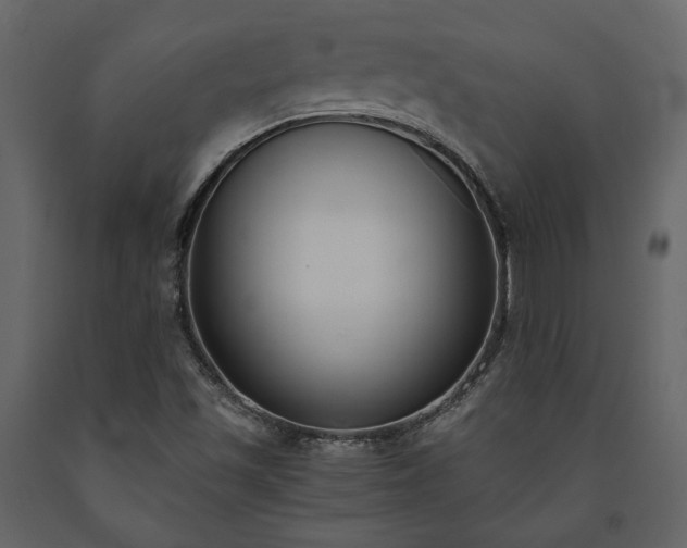 X0000091521501200708241639