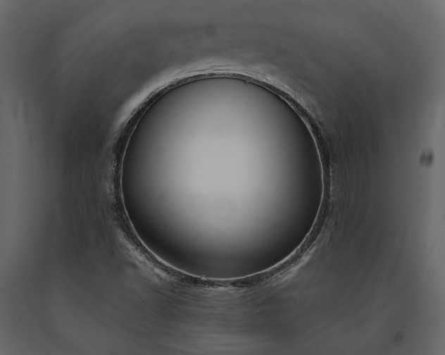 X0000091521502200708241639