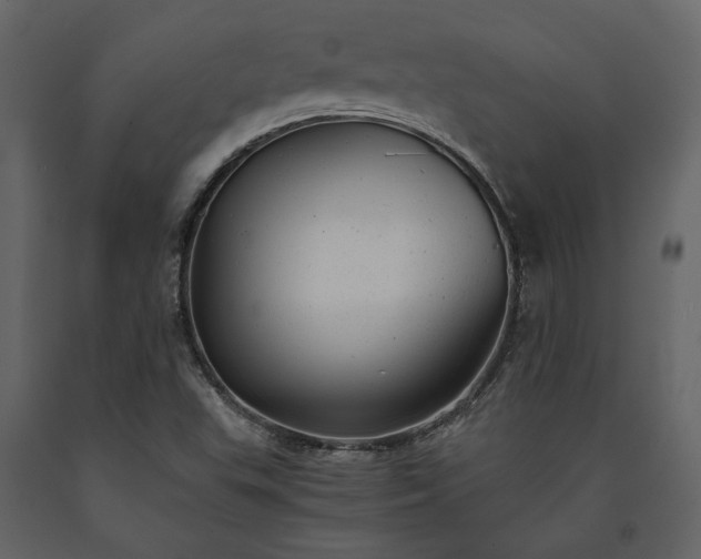 X0000091521503200708241639