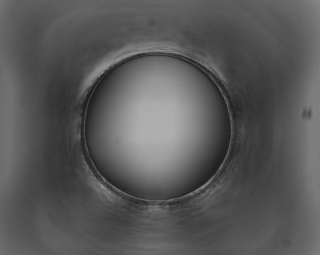 X0000091521504200708241639