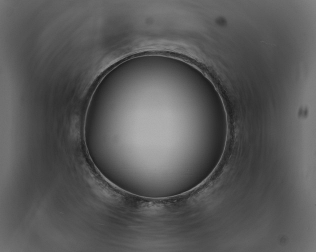 X0000091521505200708241639