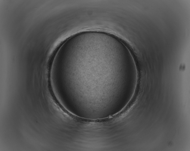 X0000091521506200708241639