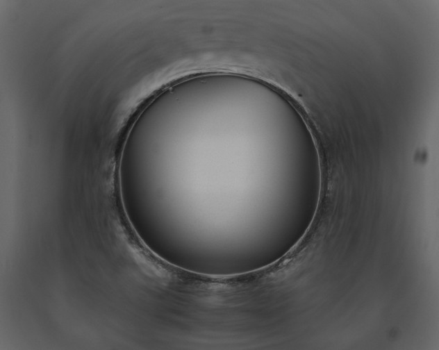 X0000091521507200708241639