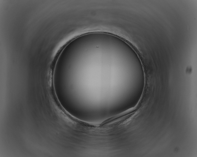 X0000091521510200708241639