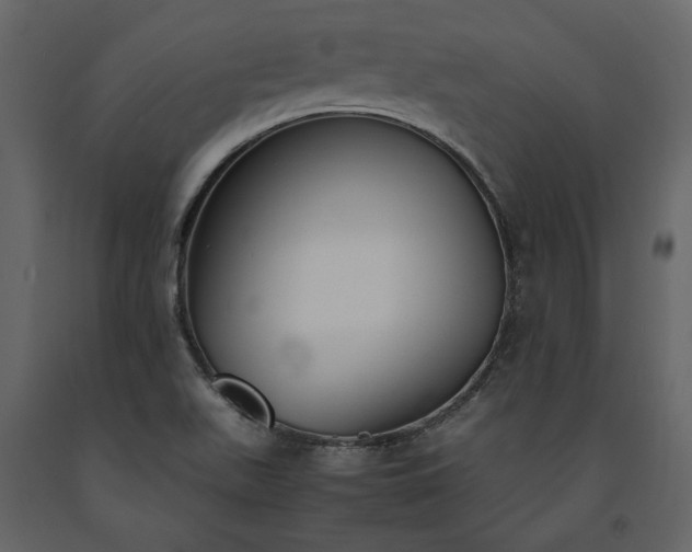 X0000091521511200708241639