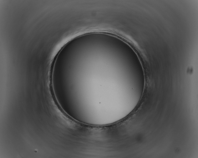 X0000091521512200708241639