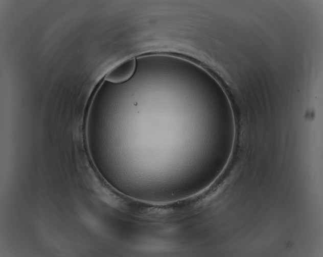X0000091521513200708241639