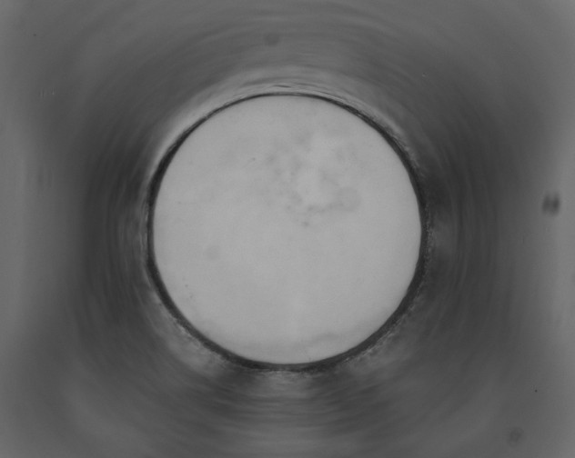 X0000091521514200708241639