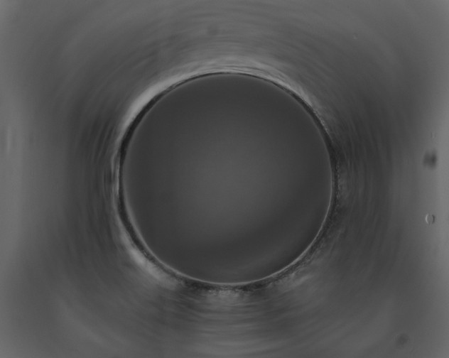 X0000091521515200708241639