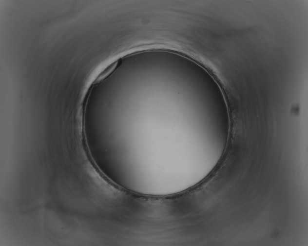 X0000091521516200708241639