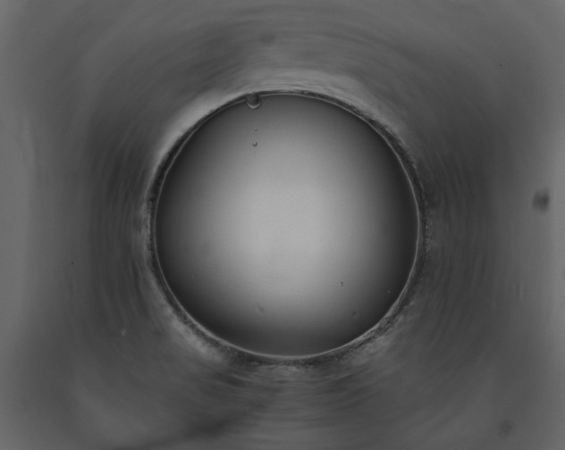 X0000091521517200708241639