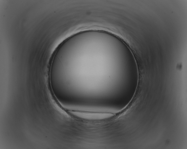 X0000091521518200708241639