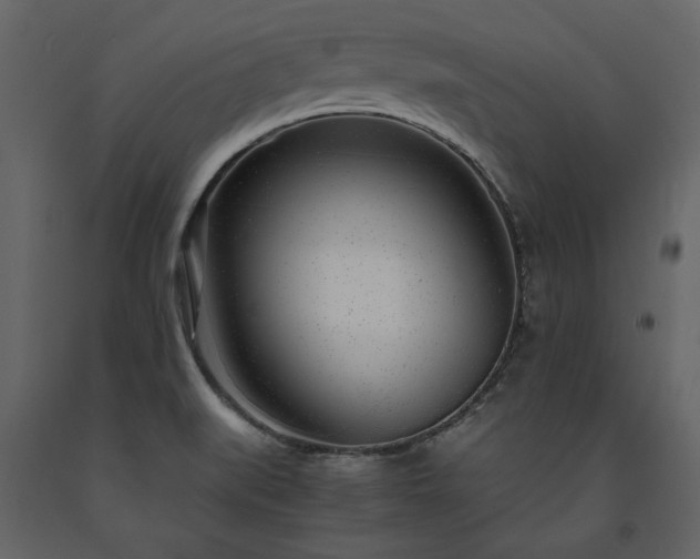 X0000091521519200708241639