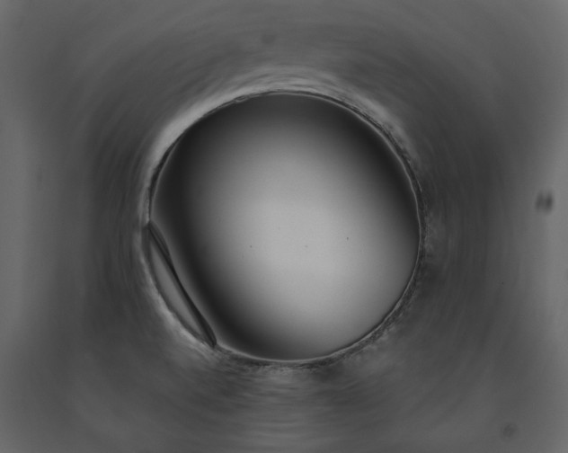 X0000091521520200708241639