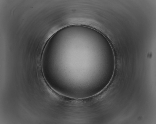 X0000091521521200708241639