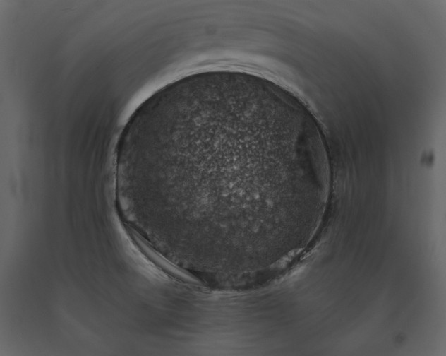 X0000091521522200708241639
