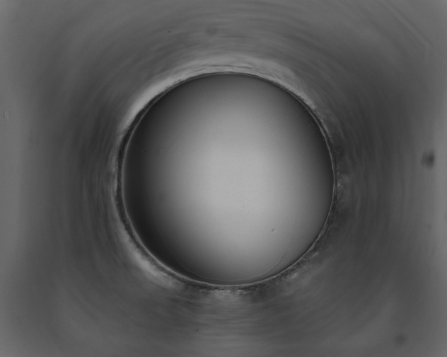 X0000091521523200708241639