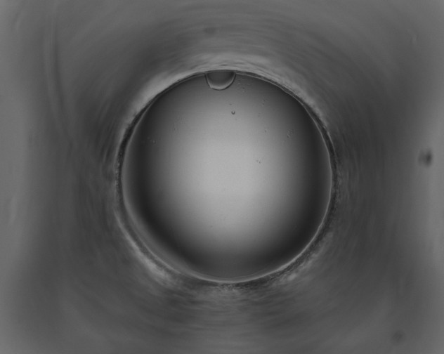 X0000091521525200708241639