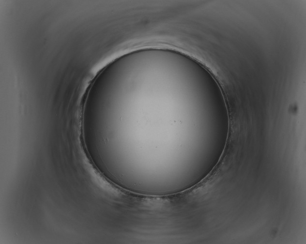 X0000091521526200708241639