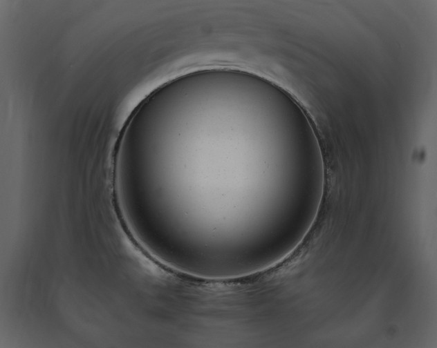 X0000091521527200708241639