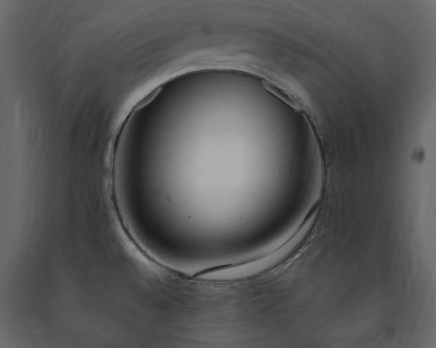 X0000091521528200708241639