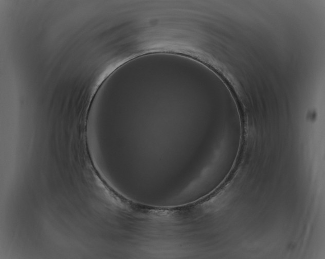 X0000091521529200708241639
