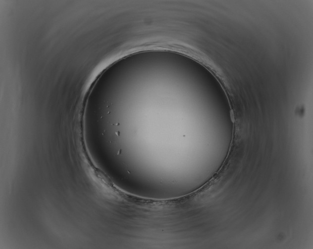 X0000091521530200708241639