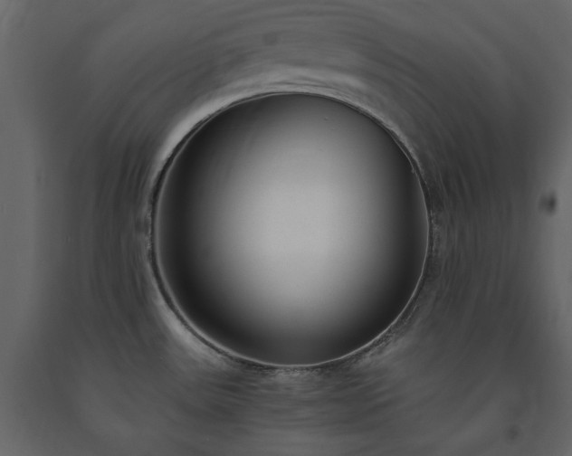 X0000091521531200708241639