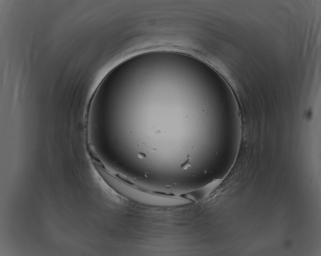 X0000091521532200708241639