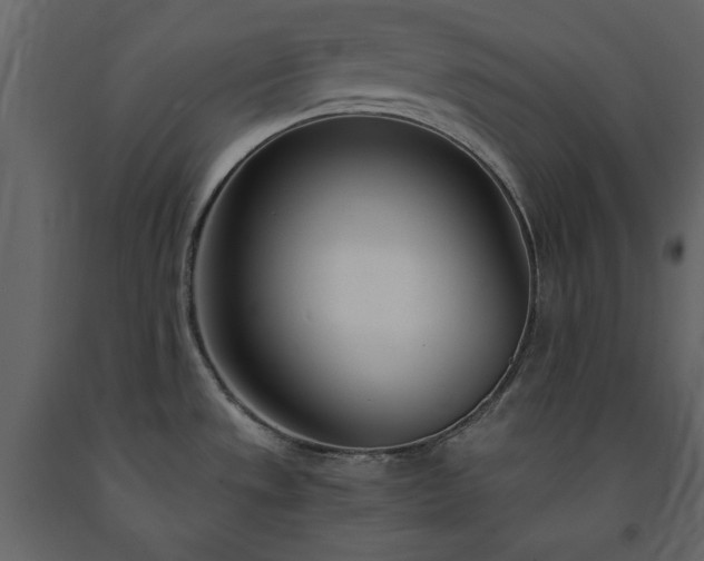 X0000091521533200708241639