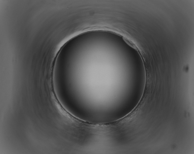 X0000091521534200708241639