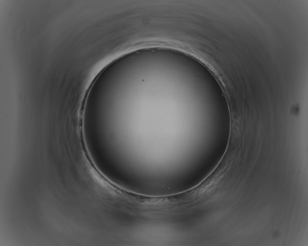 X0000091521535200708241639