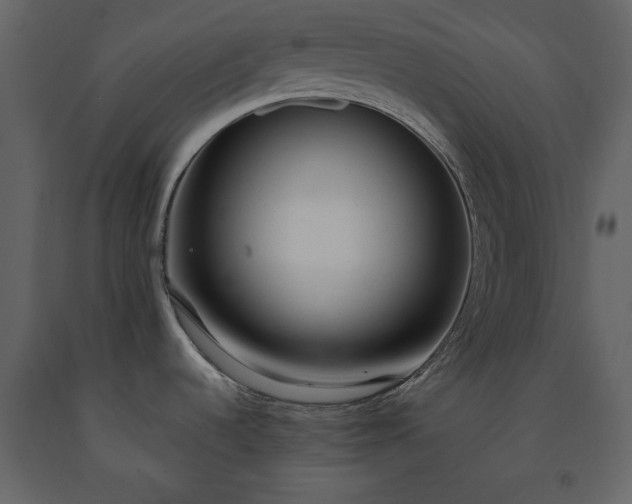 X0000091521536200708241639