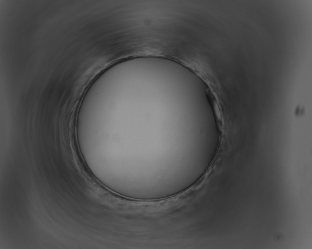 X0000091520001200708311259