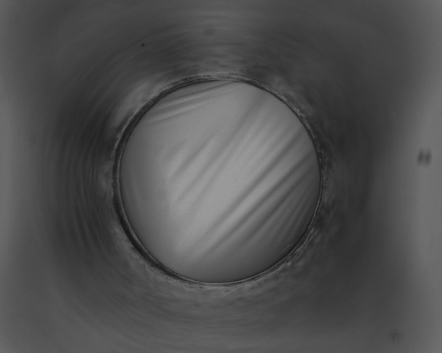 X0000091520002200708311259