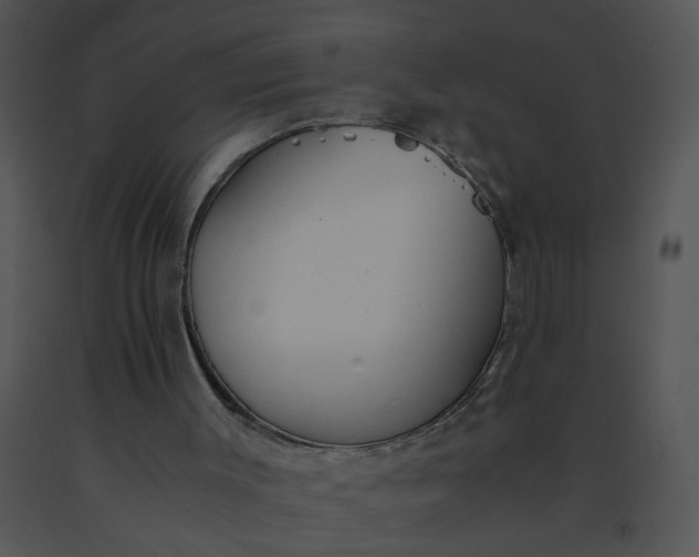 X0000091520003200708311259