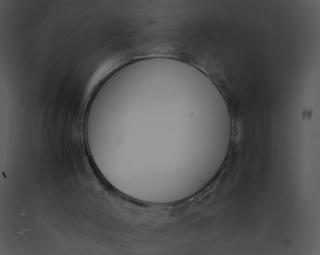 X0000091520004200708311259