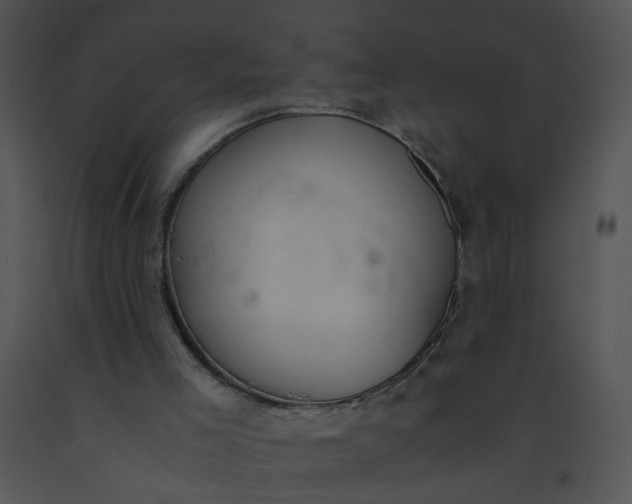 X0000091520005200708311259