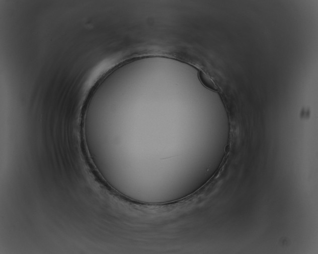 X0000091520006200708311259