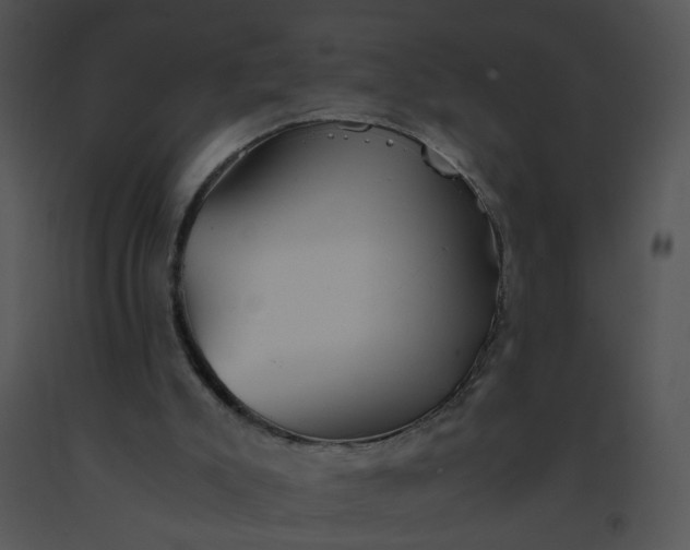 X0000091520007200708311259