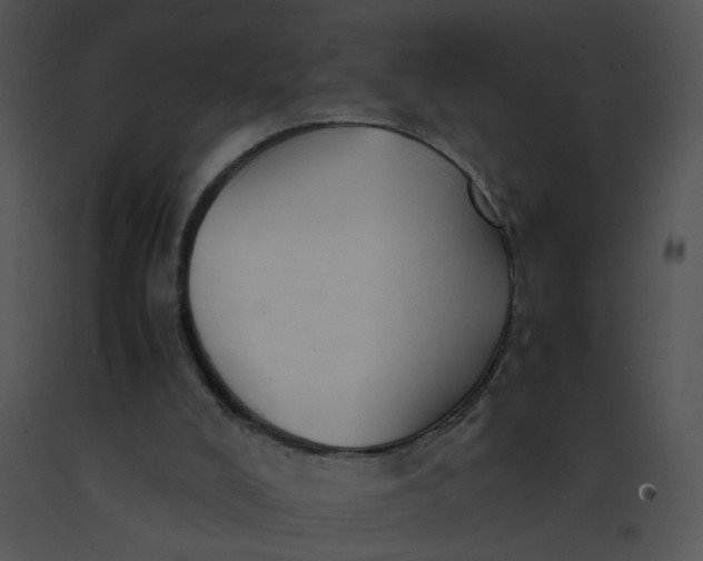 X0000091520008200708311259