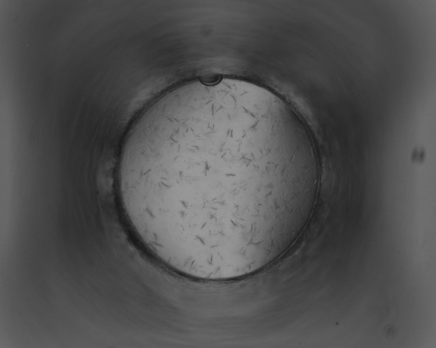 X0000091520010200708311259