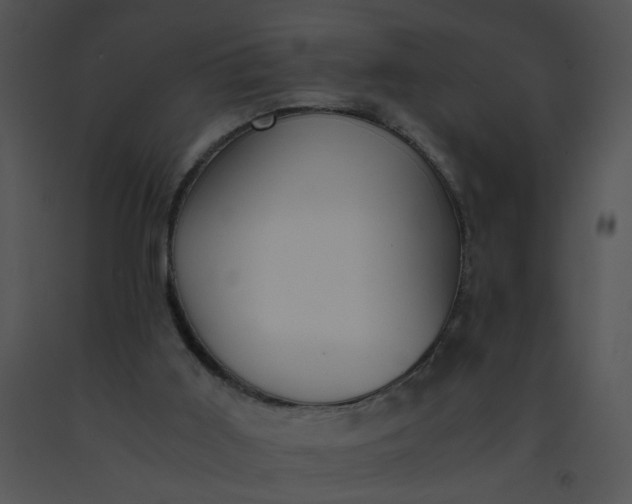 X0000091520011200708311259