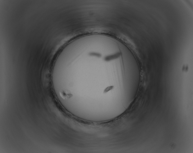 X0000091520012200708311259