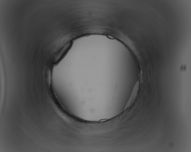 X0000091520013200708311259