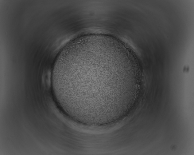 X0000091520014200708311259