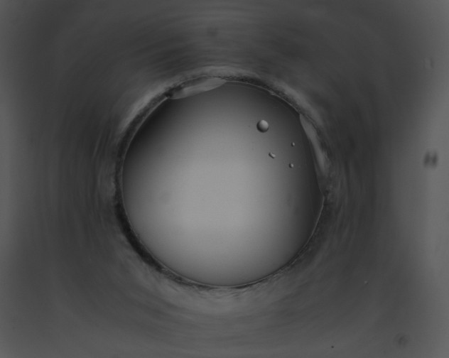 X0000091520015200708311259