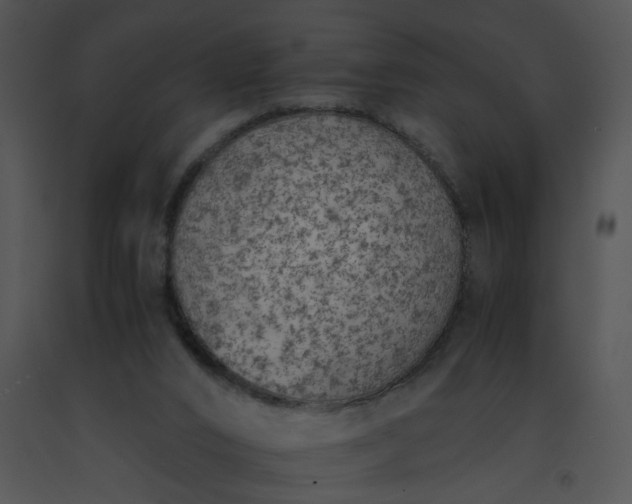 X0000091520016200708311259