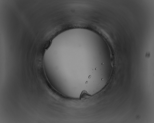 X0000091520017200708311259